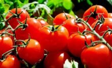 Productos que Más Aumentaron de Precio en la Primera Quincena de Julio